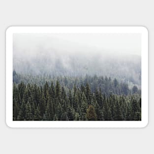 fog in the trees Sticker